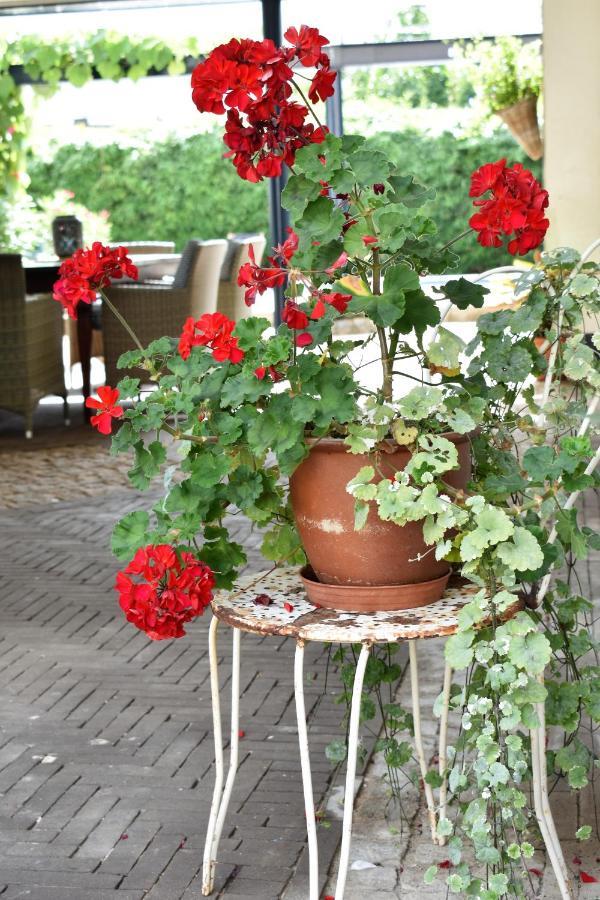 De Oude Limonadefabriek Bed and Breakfast Beek  Εξωτερικό φωτογραφία